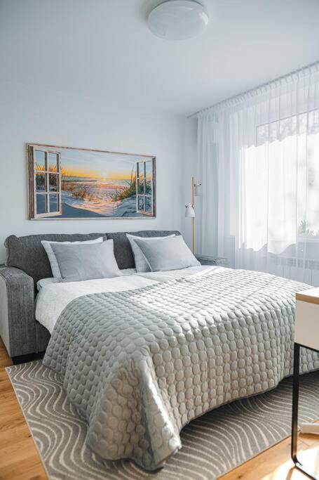 הפסלאו New Luxury 3Br Apartment In Old Town, Free Parking מראה חיצוני תמונה